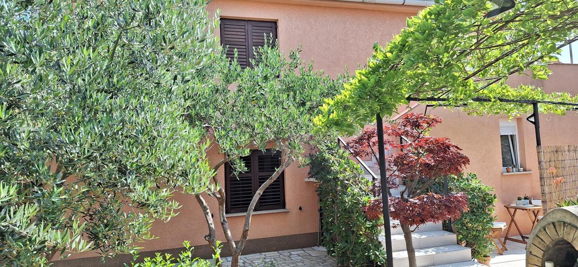 Apartments Mory